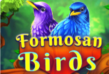 Formosan Birds